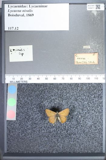Media type: image;   Entomology 64711